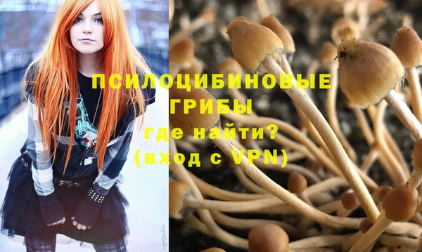 не бодяженный Алексин