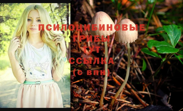 не бодяженный Алексин
