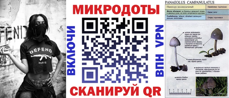 магазин    Комсомольск  Псилоцибиновые грибы Cubensis 