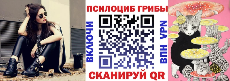 Псилоцибиновые грибы мицелий Комсомольск